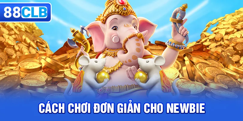 Cách chơi đơn giản cho newbie