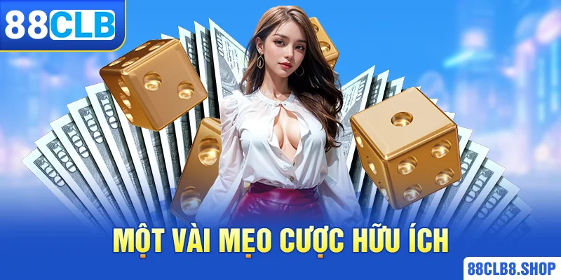 Một vài mẹo cược hữu ích